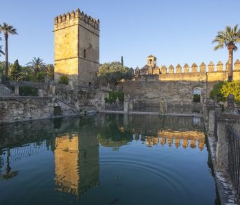 alczar-de-los-reyes-cristianos-de-crdoba-4_52340738849_o